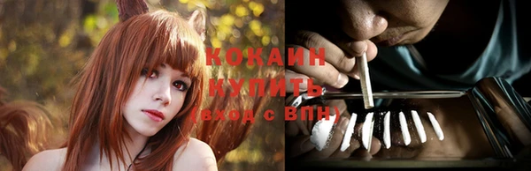 apvp Каменск-Шахтинский