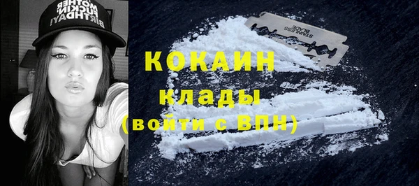 спиды Каменногорск