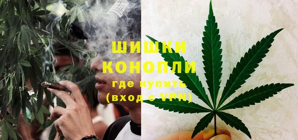ПСИЛОЦИБИНОВЫЕ ГРИБЫ Киренск