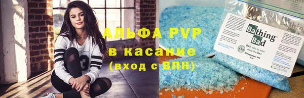 спиды Каменногорск