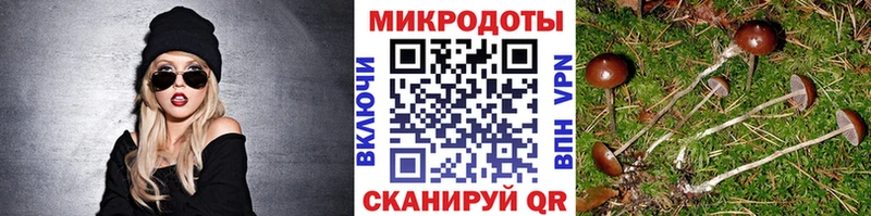 Галлюциногенные грибы прущие грибы  Красновишерск 